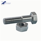 SUS 316L hex bolts with nuts